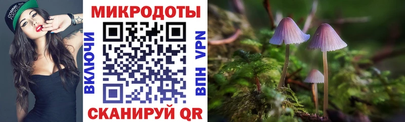 купить  цена  Махачкала  Псилоцибиновые грибы мицелий 