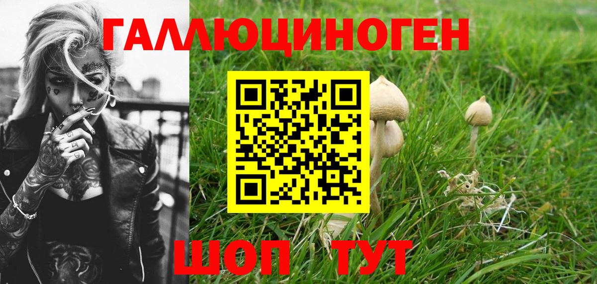 Псилоцибиновые грибы Magic Shrooms Махачкала