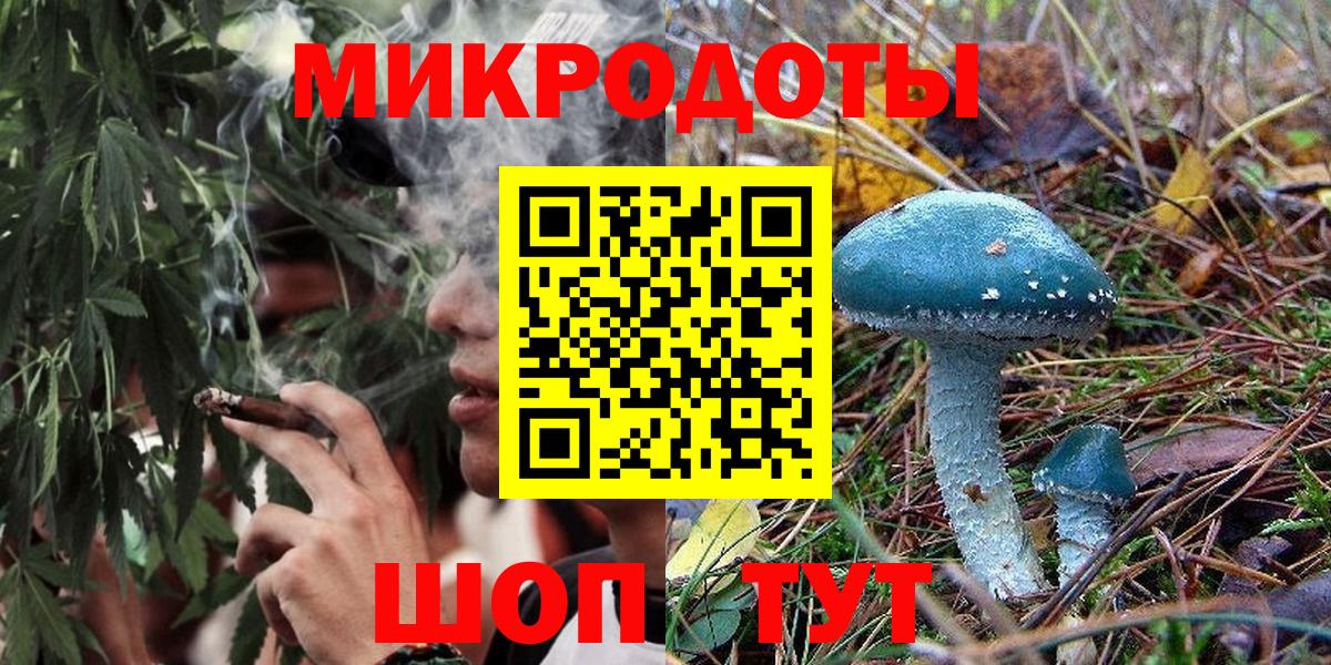 Галлюциногенные грибы Psilocybine cubensis  Вход с VPN  Махачкала 